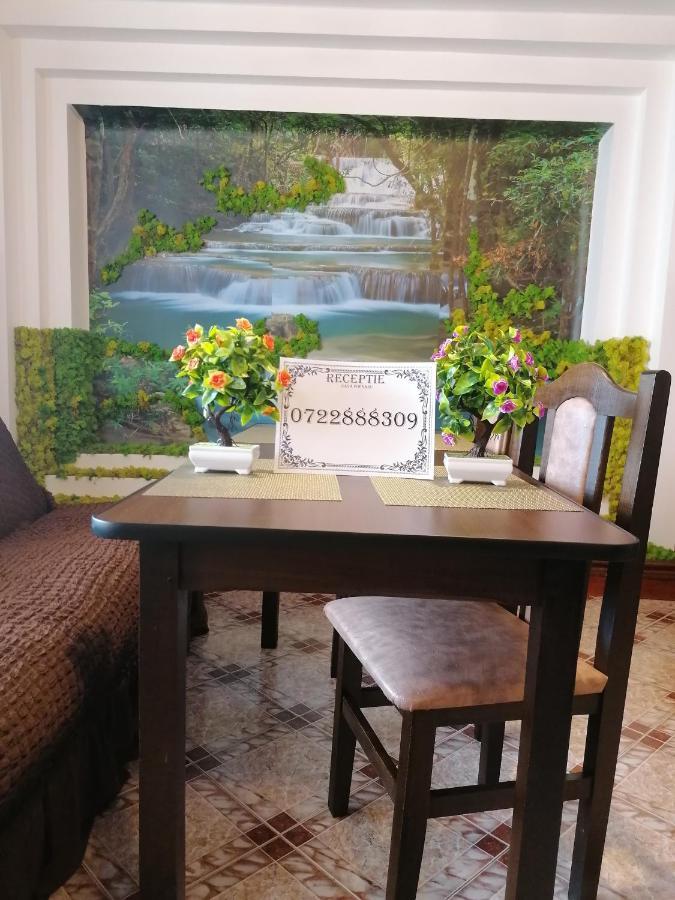 Casa Poenaru Hotel คัมพูลุง โมลโดเวเนสค์ ภายนอก รูปภาพ